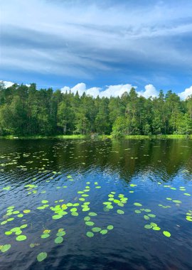 Yazın vahşi göl ve yeşil orman manzarası mavi su ve gökyüzü beyaz bulutlar ile Finlandiya