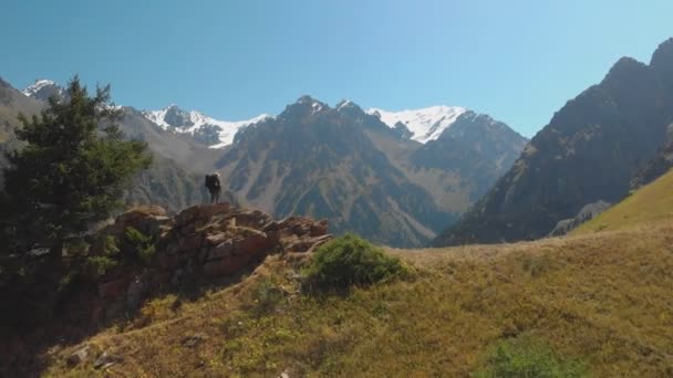 男は山を旅する 男は美しい渓谷を眺めながら岩の上に立っている 天山の山のシステム カザフスタン — ストック動画