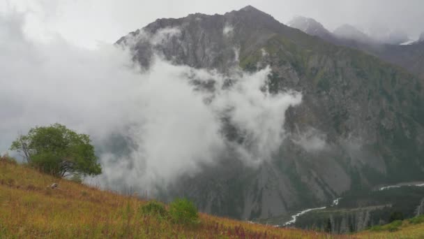 山の谷の雲の動き 山の中で雨の天気が高い 天山の山のシステム カザフスタン — ストック動画