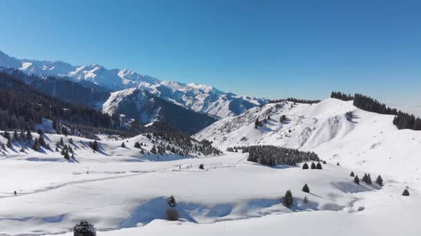 Zimowe Widoki Góry — Wideo stockowe