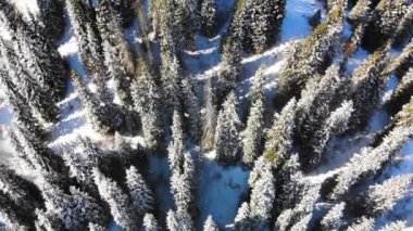 Winter views of the mountains