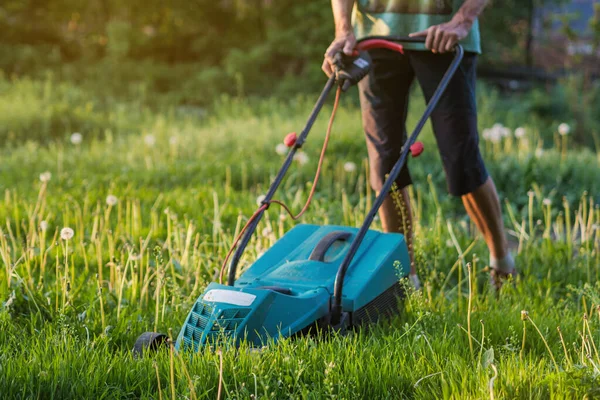 男は裏庭に芝刈り機で緑の草を刈る 夏と春のシーズンの園芸の背景 前景の草に焦点を当てる — ストック写真