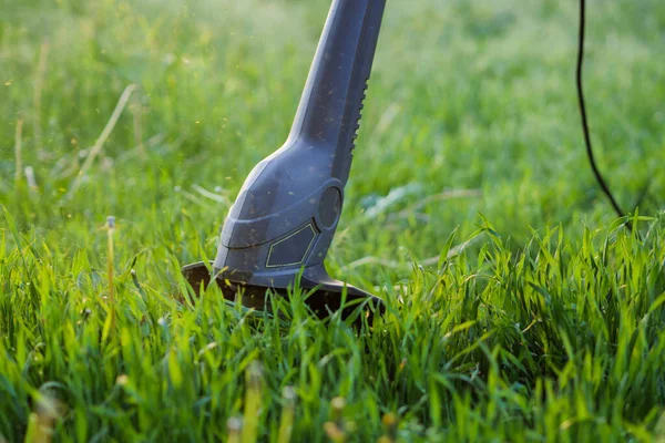 Close-up of a lawn trimmer in the process of work. The working part of the trimmer cutting green grass. Background image illustrating the work of a gardener