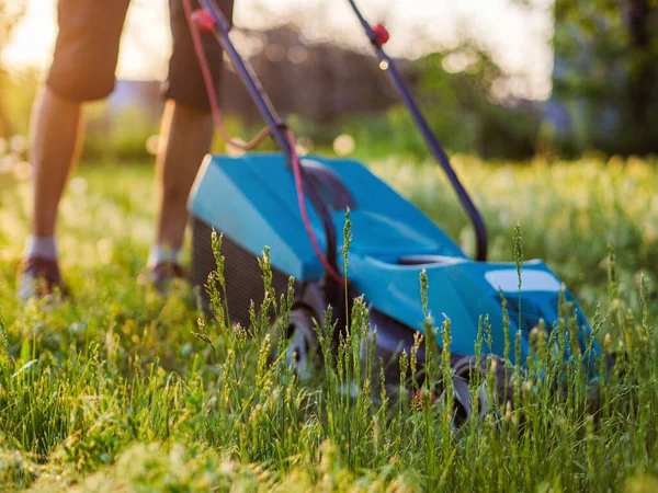 男は電気芝刈り機で裏庭に緑の草を刈る 夏と春のシーズンの園芸の背景 前景の草に焦点を当てる — ストック写真
