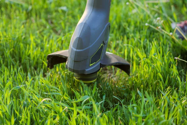 Lawn trimmer in the process of work. Close-up of a the working part of the trimmer cutting green grass. Background image illustrating the work of a gardener