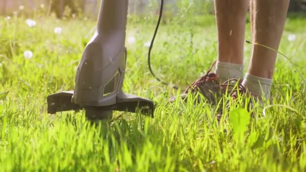 仕事の過程で芝生のトリマーのクローズアップ 緑の草を切るトリマーの作業部分 庭師の仕事を示す背景画像 — ストック動画