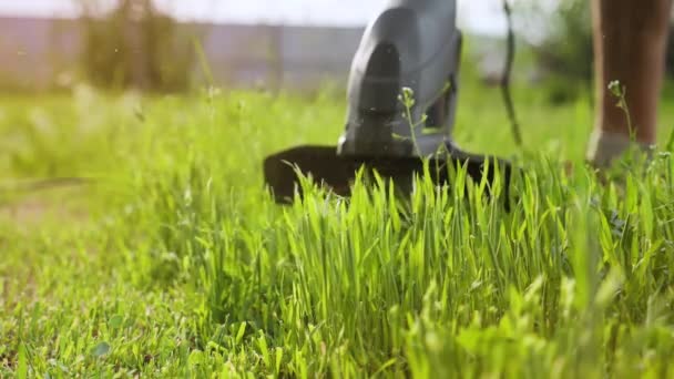 仕事の過程で芝生のトリマー 緑の草を切るトリマーの作業部分のクローズアップ 庭師の仕事を示す背景画像 — ストック動画