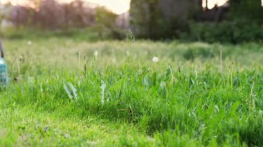 Arka bahçede çim biçme makinesi var. Yakın plan. Yaz ve bahar bahçıvanlık sezonu