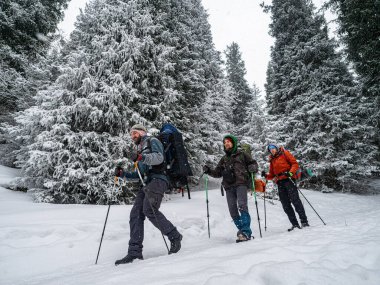 Kış ormanlarında üç gezgin yoğun kar altında patika boyunca yürür. Dağ kış turizmi