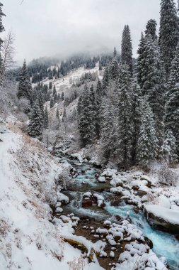 Karlı orman ve sisle kaplı dağların kış manzarası. Gizemli kış manzarası. Alma-Arasan geçidi. Alma-Ata 'nın bölgesi. Kazakistan