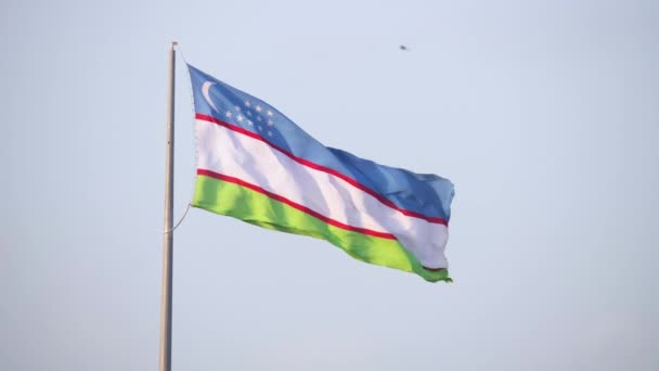 Bandeira Nacional Uzbequistão Agita Vento Bandeira Fundo Céu Sem Nuvens — Vídeo de Stock