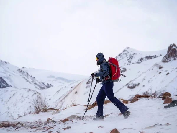 A bearded man makes trekking in the mountains in winter. A man with a backpack and trekking poles