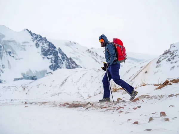 A bearded man takes a walk in the mountains in winter. A man with a backpack and trekking poles