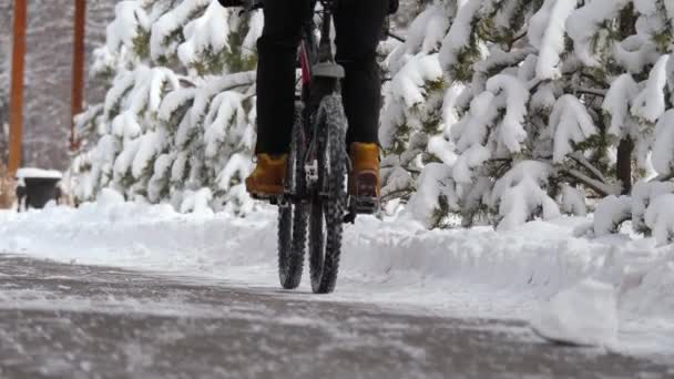 Inverno Uomo Bicicletta Lungo Marciapiede Tra Gli Alberi Innevati Vista — Video Stock