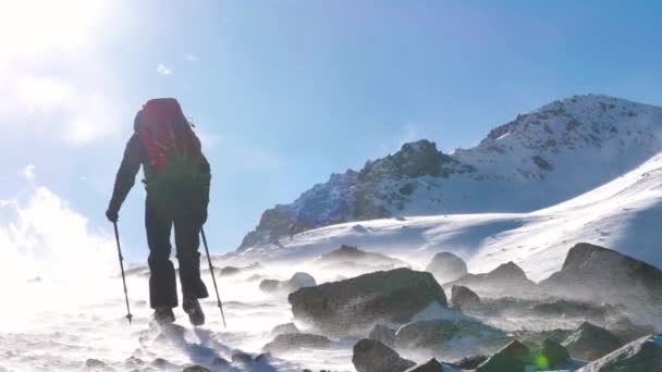 Turista Hace Una Caminata Las Montañas Día Invierno Tormenta Nieve — Vídeos de Stock