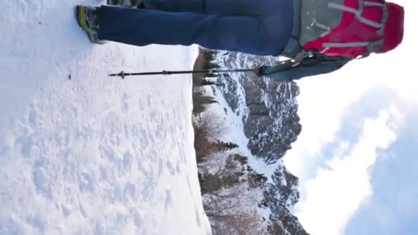 バックパックを持った男の垂直ビデオ映像は 山で冬のハイキングをする 深い雪の中で登山するトレッキングポール付きの観光客 — ストック動画