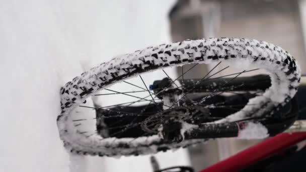 新しく落ちた雪の中を走る自転車の車輪 冬のアクティブライフスタイル スローモーション クローズアップ スローモーション — ストック動画
