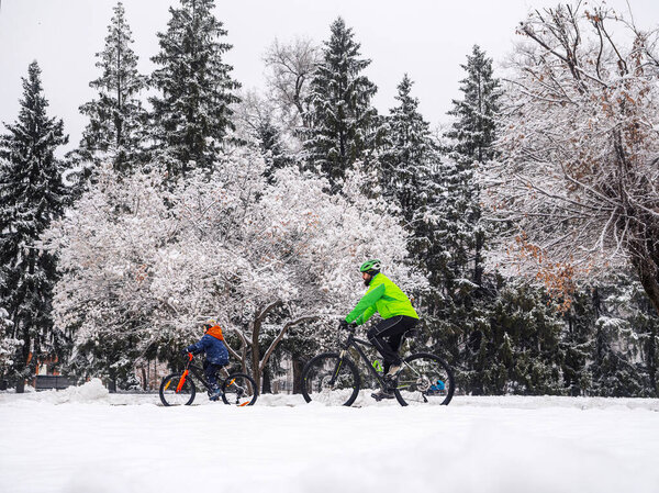 Father and son ride bicycles in a winter park after a snowfall. The trees around are covered with fluffy snow. Active family weekend in winter