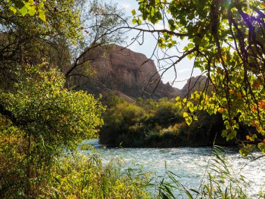 Charyn Nehri 'nin kanyonunda. Dağ nehri, kırmızı ve sarı kumtaşından kayalık kayalıkların arasında. Charyn Kanyonu Ulusal Parkı