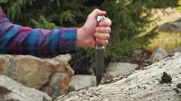 Zbliżenie Ręki Wbijającej Stalowy Nóż Upadłe Drzewo Przetrwanie Dziczy Urządzenia — Wideo stockowe