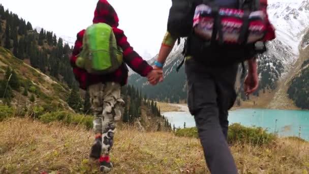 Padre Hijo Están Excursión Una Zona Montañosa Vista Desde Atrás — Vídeo de stock