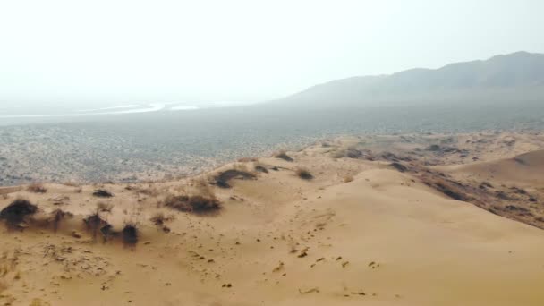 Dois Caminhantes Cima Uma Grande Duna Areia Regozijando Sua Realização — Vídeo de Stock