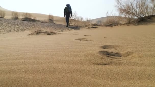 Male Tourist Walks Dunes Desert Area Focusing Sand Footprints Foreground — Stock Video