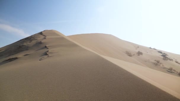 砂丘の尾根を頂上に登った男 アリッド砂漠の地形 コールドシーズン バークハンを歌う アルティン エルメル国立公園 — ストック動画
