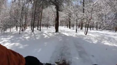 Bir kış parkında bisiklet sürmek. Birinci şahıs görüşü. Güneşli bir kış gününde karla kaplı ağaçların arasında bir bisikletçi