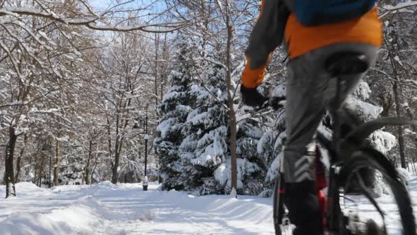 Хлопець Велосипеді Їде Серед Засніжених Дерев Сонячний Зимовий День Активний — стокове відео