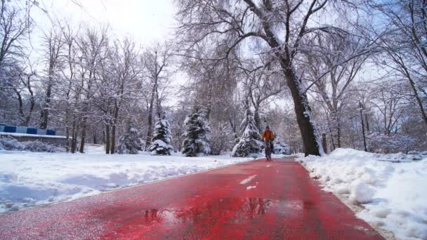サイクリストは 晴れた冬の日に雪に覆われた木々の間の市立公園の自転車道に沿って乗ります 冬のアクティブライフスタイル 環境に優しい輸送 スローモーション — ストック動画