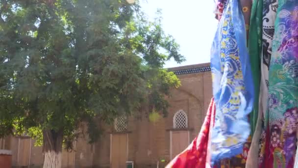 Xales Tradicionais Coloridos Xales Com Padrões Nacionais Uzbeques Desenvolvendo Vento — Vídeo de Stock