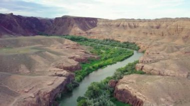 Yeşil ağaçlarla kaplanmış bir nehri olan kanyon. Charyn Kanyonu üzerinde uçuş. Kazakistan