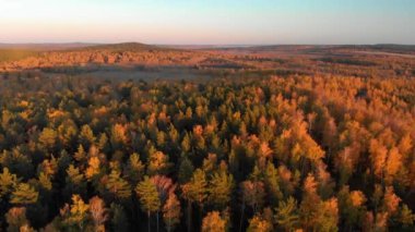 Sonbahar ormanının havadan görünüşü. Açık hava gün batımı