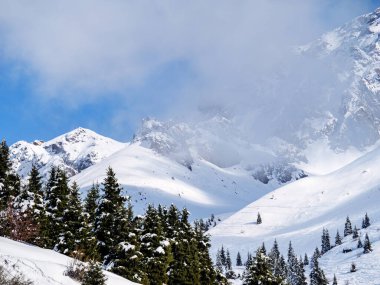 Almaty Şehri civarındaki güneşli dağ kış manzarası. Tien Shan Dağları 'ndaki dağ zirveleri yoğun kar yağışı sonrası hafif bulutlarla örtülüdür.