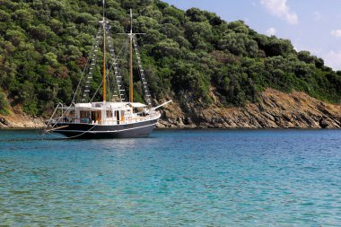 Ağaçlarla kaplı kara kenarında kısa deniz yolculukları için tekne.
