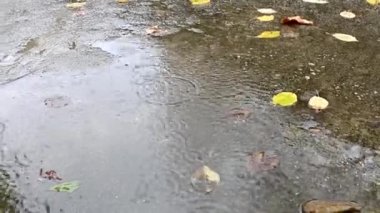 Çimento yüzeyine düşen yağmur damlalarına yakın çekim