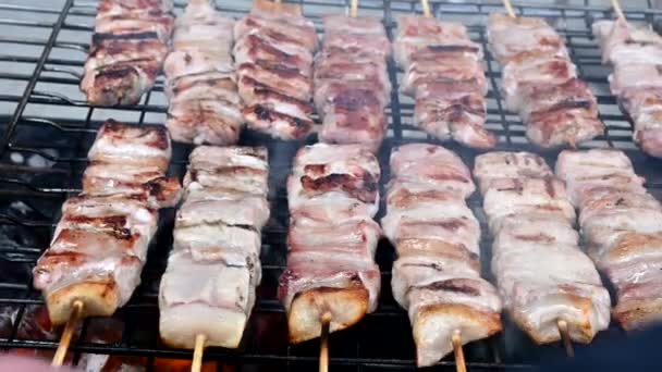 Barbecue Con Souvlaki Persona Che Trasforma — Video Stock