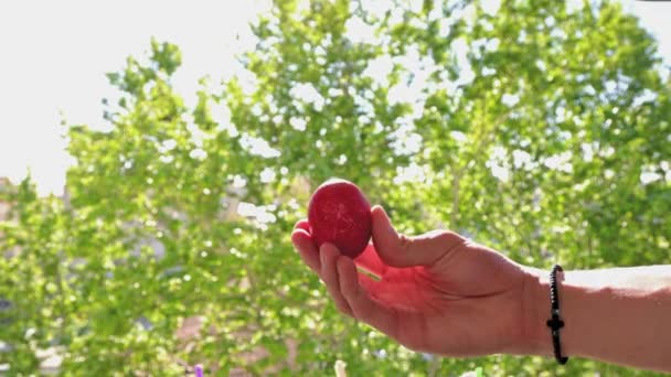 Closeup Two People Knocking Red Easter Eggs — Stock Video