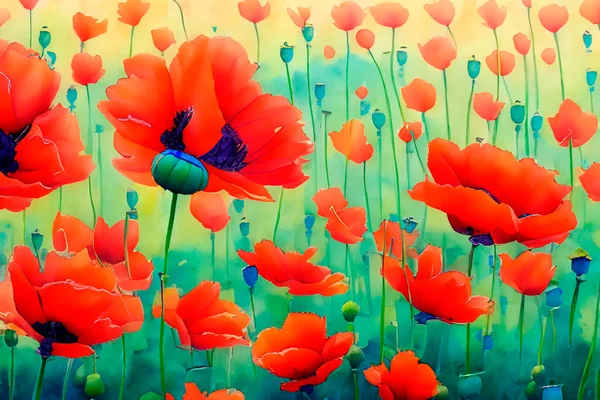 Blooming Poppy Flowers Field — Stock Photo, Image