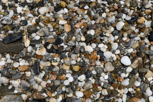Natte Stenen Kiezelstenen Het Strand — Stockfoto