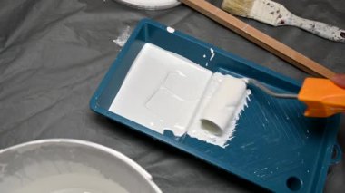 Boya tepsisinde yuvarlanan bir boya silindiri