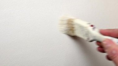 Boyalı fırçalı erkek eli Duvarı boyar