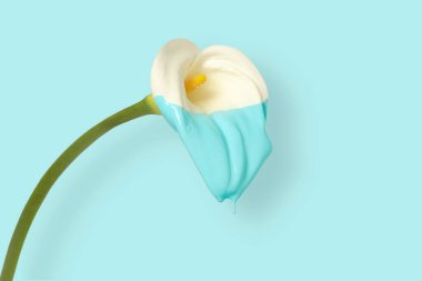 Zambak çiçeğinden damlayan mavi boya 