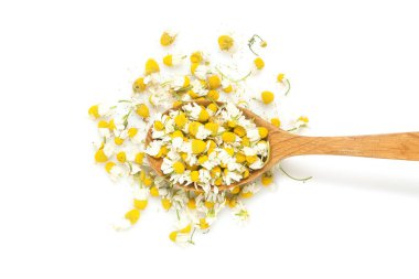 Kuru papatya çiçekleri beyaz üzerine izole edilmiş