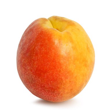 İzole edilmiş tek bir kayısı.