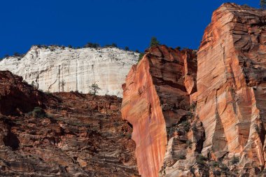 Layers of steep rugged cliffs in bright orange, brown and vibrant white against a clear blue sky in the morning sunshine at Zion National Park, Utah.