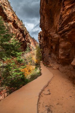 Zion Ulusal Parkı 'ndaki Angel' s Landing 'e giden yüksek kaya duvarlı kanyona giden asfalt bir yol..