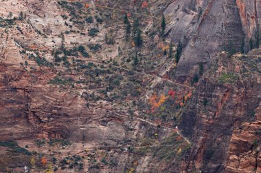 Ağlayan Kaya Yolu 'nun bir bölümü, Utah, Zion Ulusal Parkı' ndaki renkli devrilmiş ağaçlarla sarp kanyon duvarlarını kesiyor..