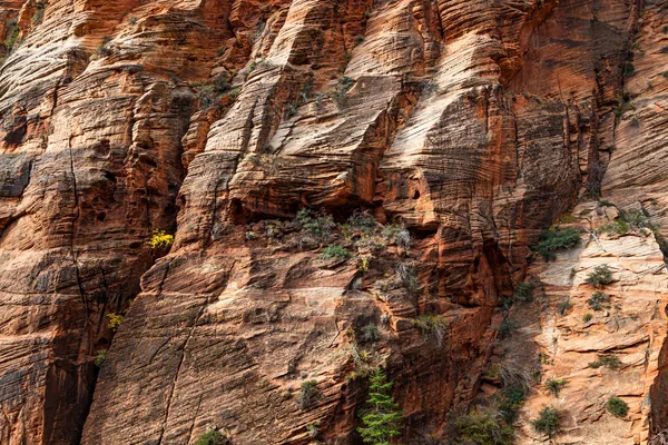 Zandstenen Kliffen Zion National Park Die Loop Der Tijd Zijn Stockfoto